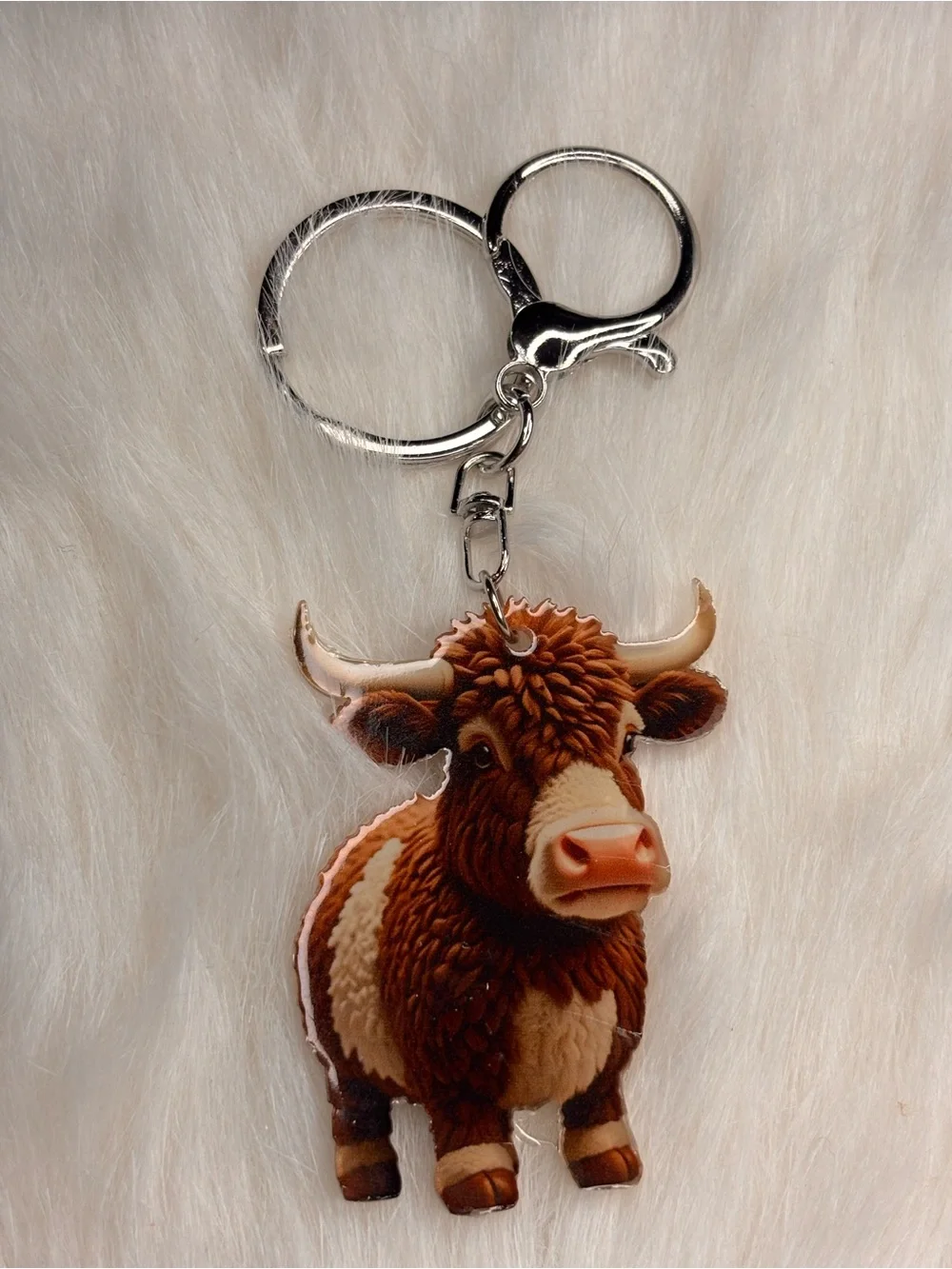 N/A adorable highland
